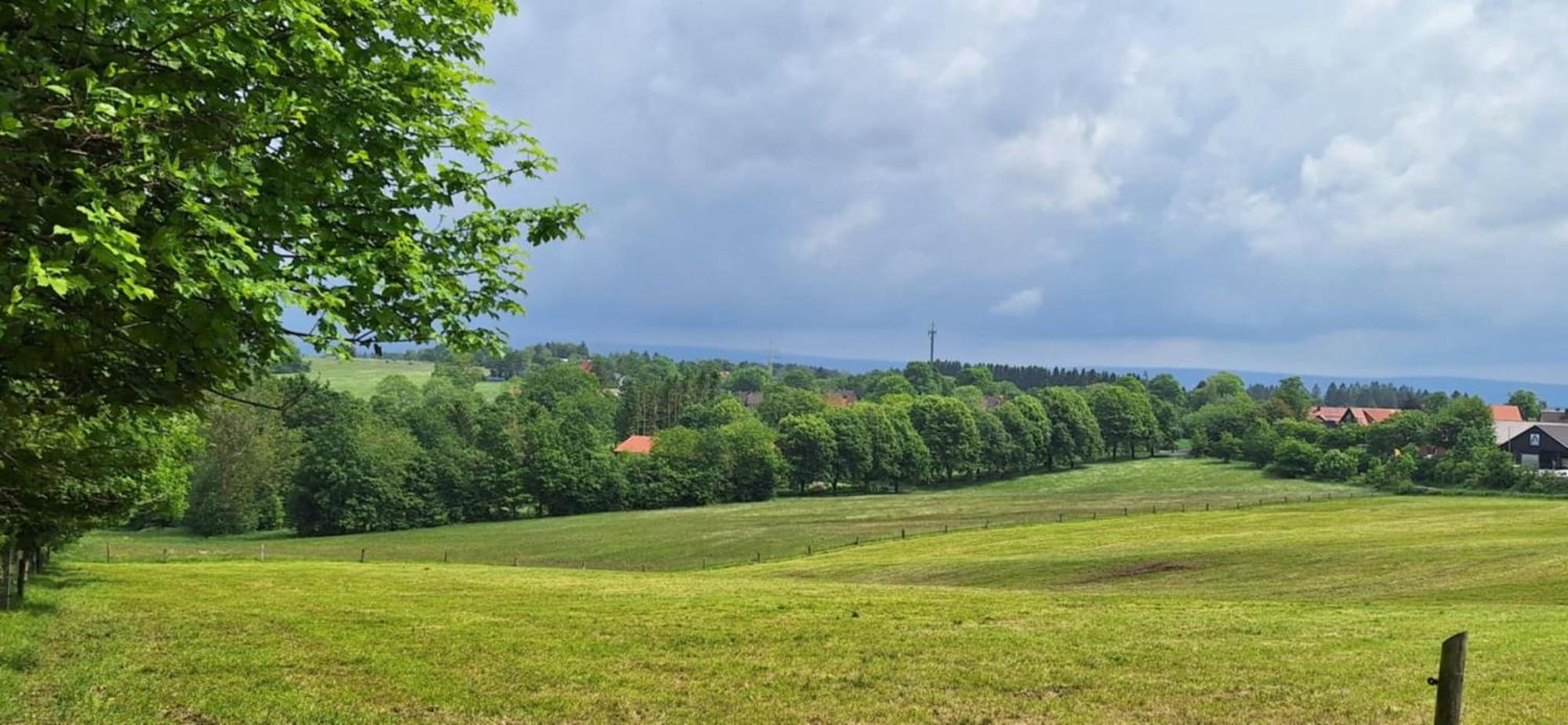 Mai-Ferienhaus-Harz 210Qm Clausthal-Zellerfeld Exteriér fotografie